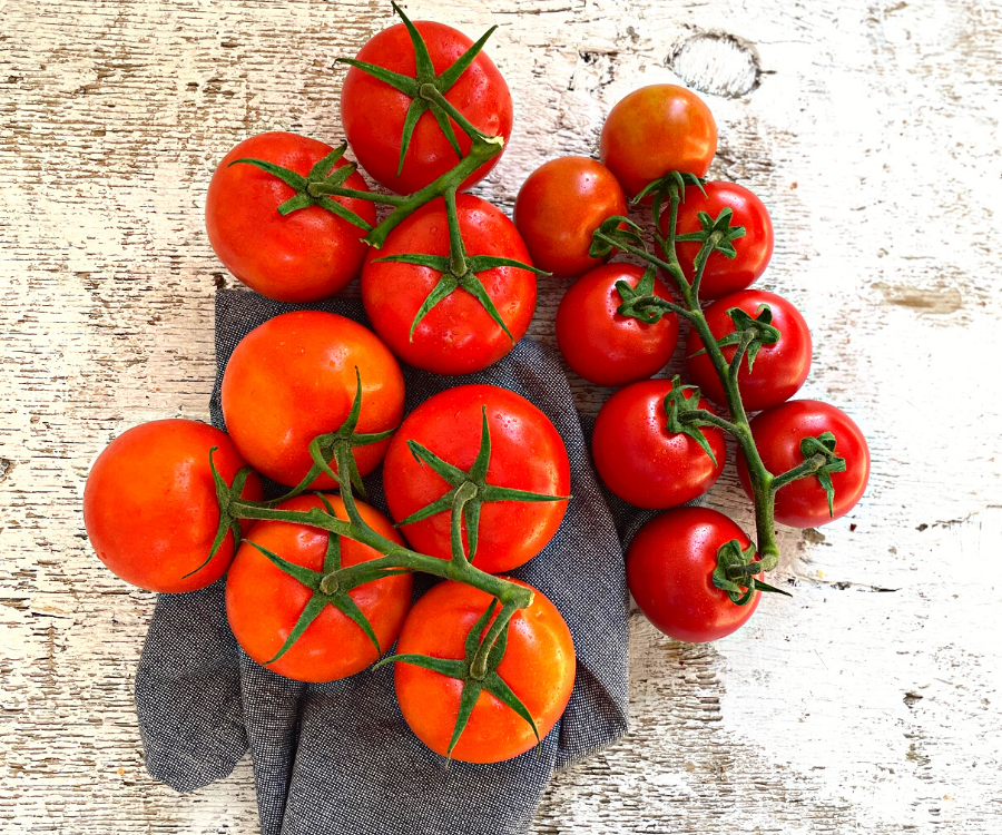 Vine Tomato Varieties