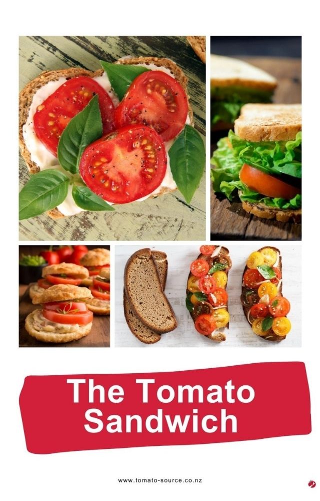different versions of a tomato sandwich - cover of one of our downloadable books